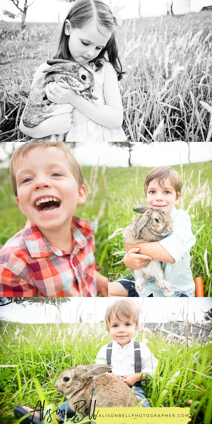 Mini session photography with a live bunny for easter by Alison Bell Photographer