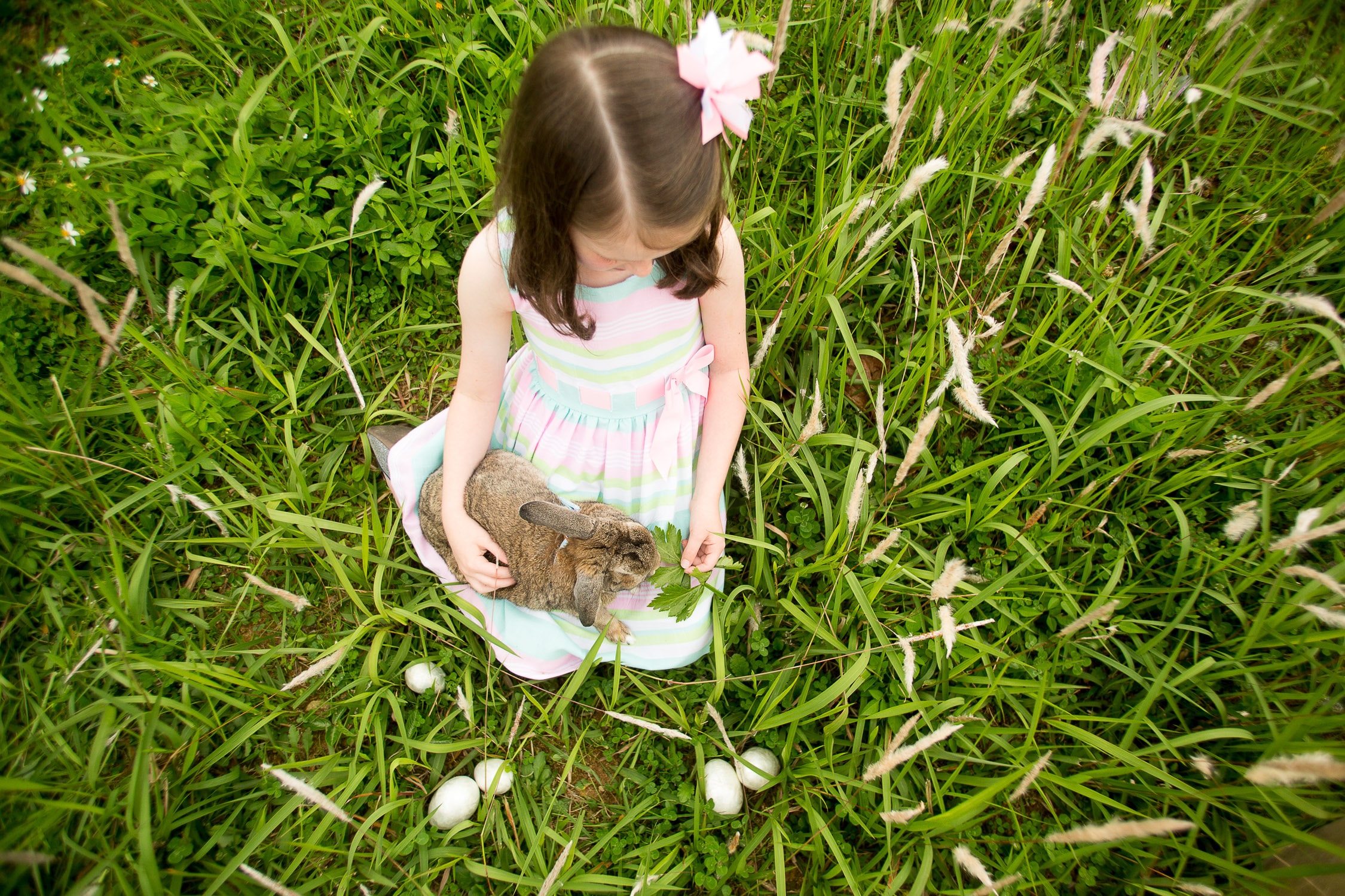 Easter mini sessions in a grassy field with a live bunny rabbit by Alison Bell, Photographer