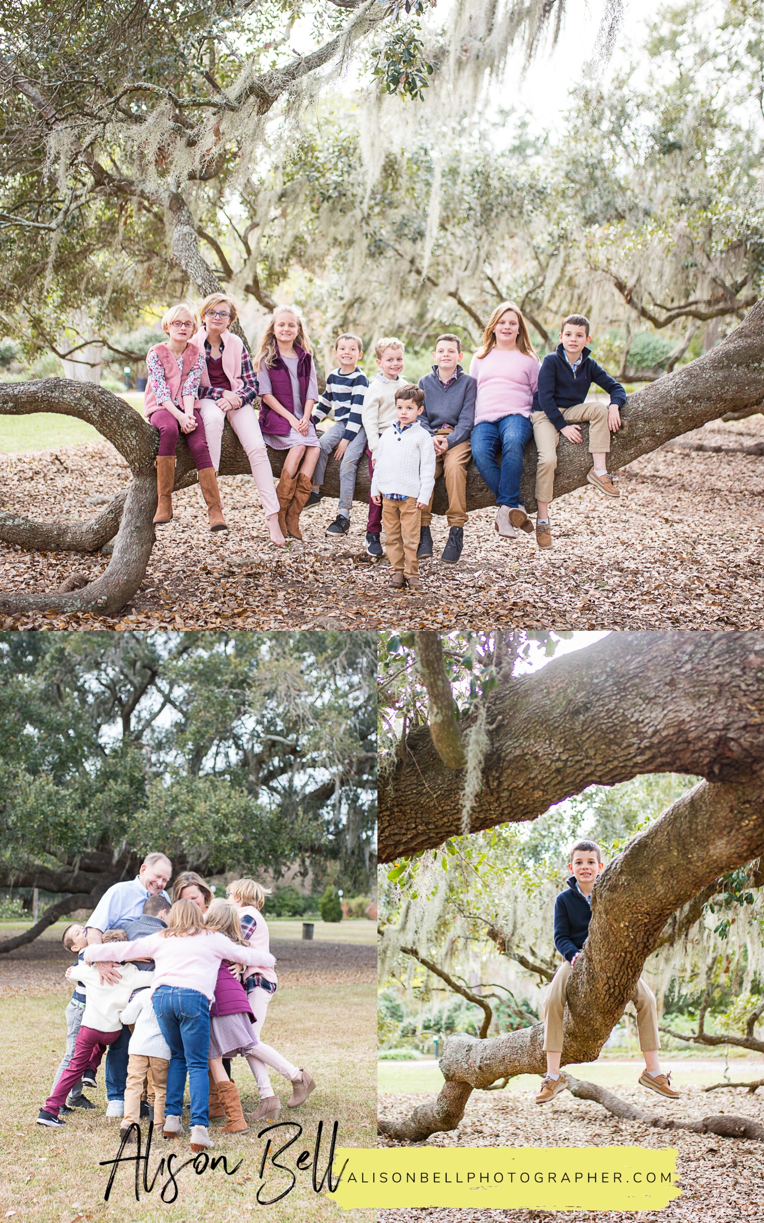 Extended family photography session in Hampton Park, Charleston South Carolina by Alison Bell, Photographer