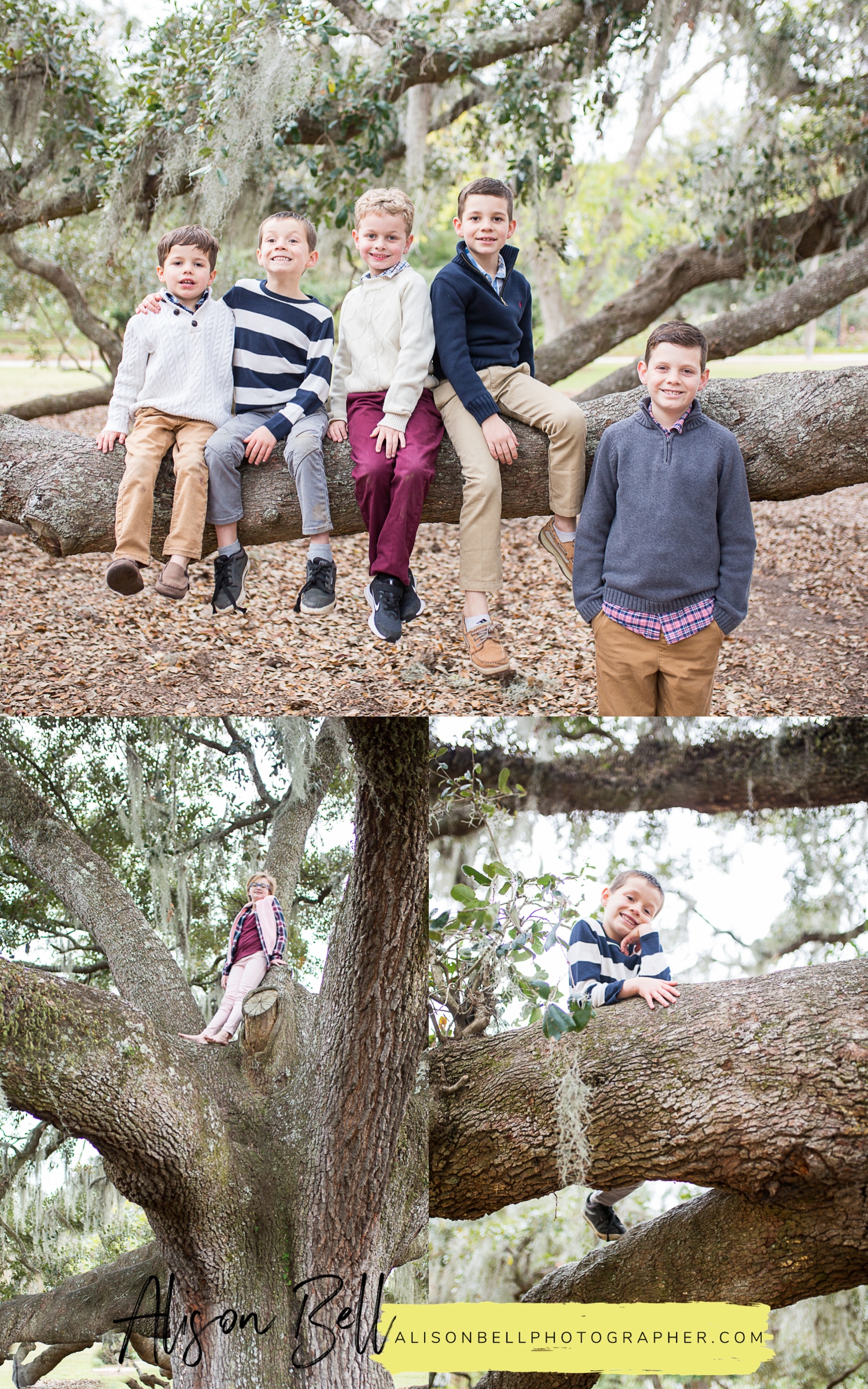 Extended family photography session in Hampton Park, Charleston South Carolina by Alison Bell, Photographer