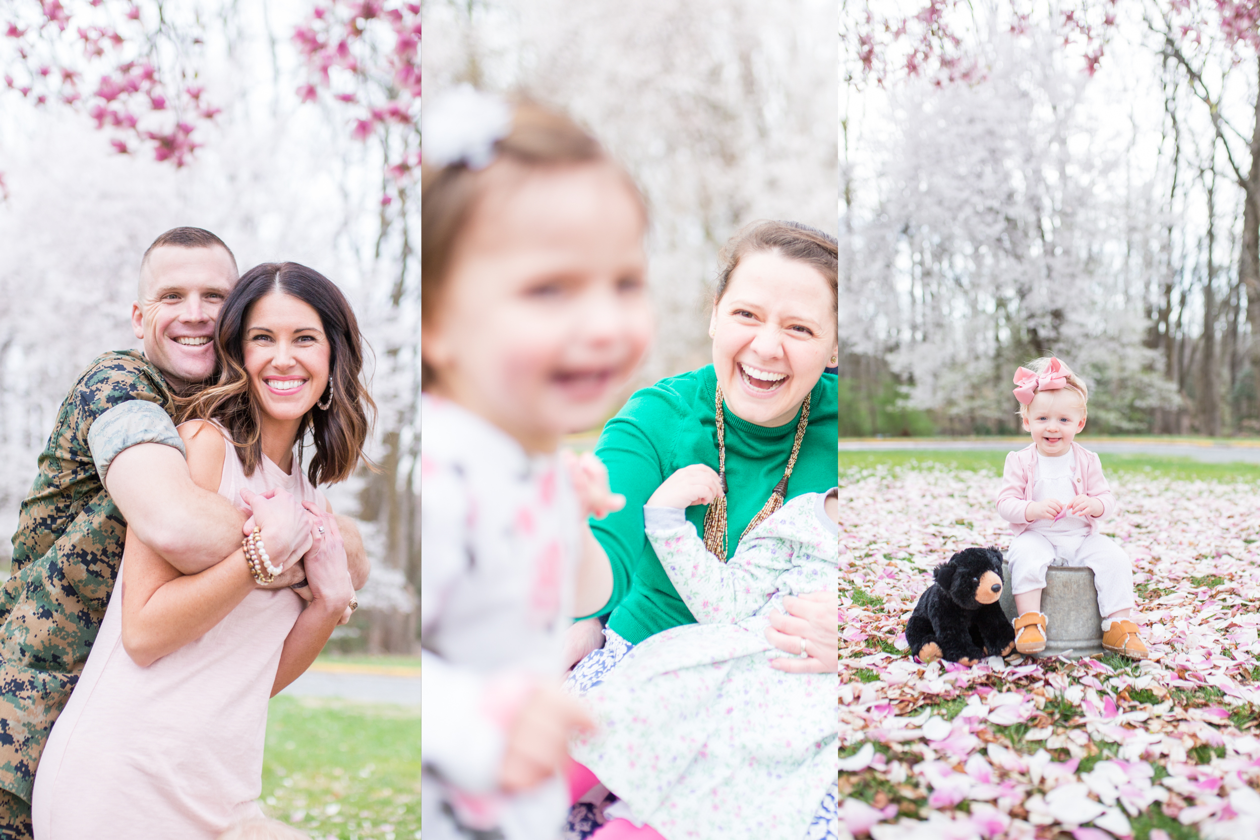 DC Cherry blossom family photos