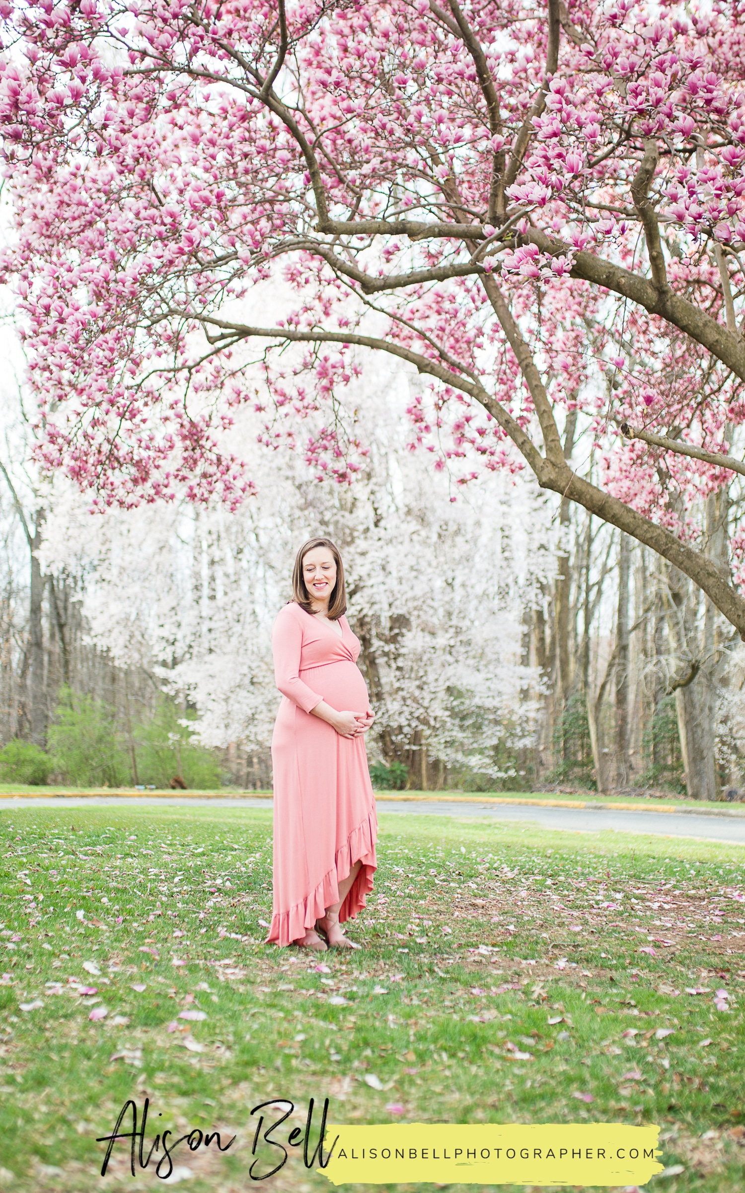 Half Price Maternity Mini Sessions on Marine Corps Base Quantico with Spring saucer magnolia blossoms by Alison Bell, Photographer. Alisonbellphotographer.com