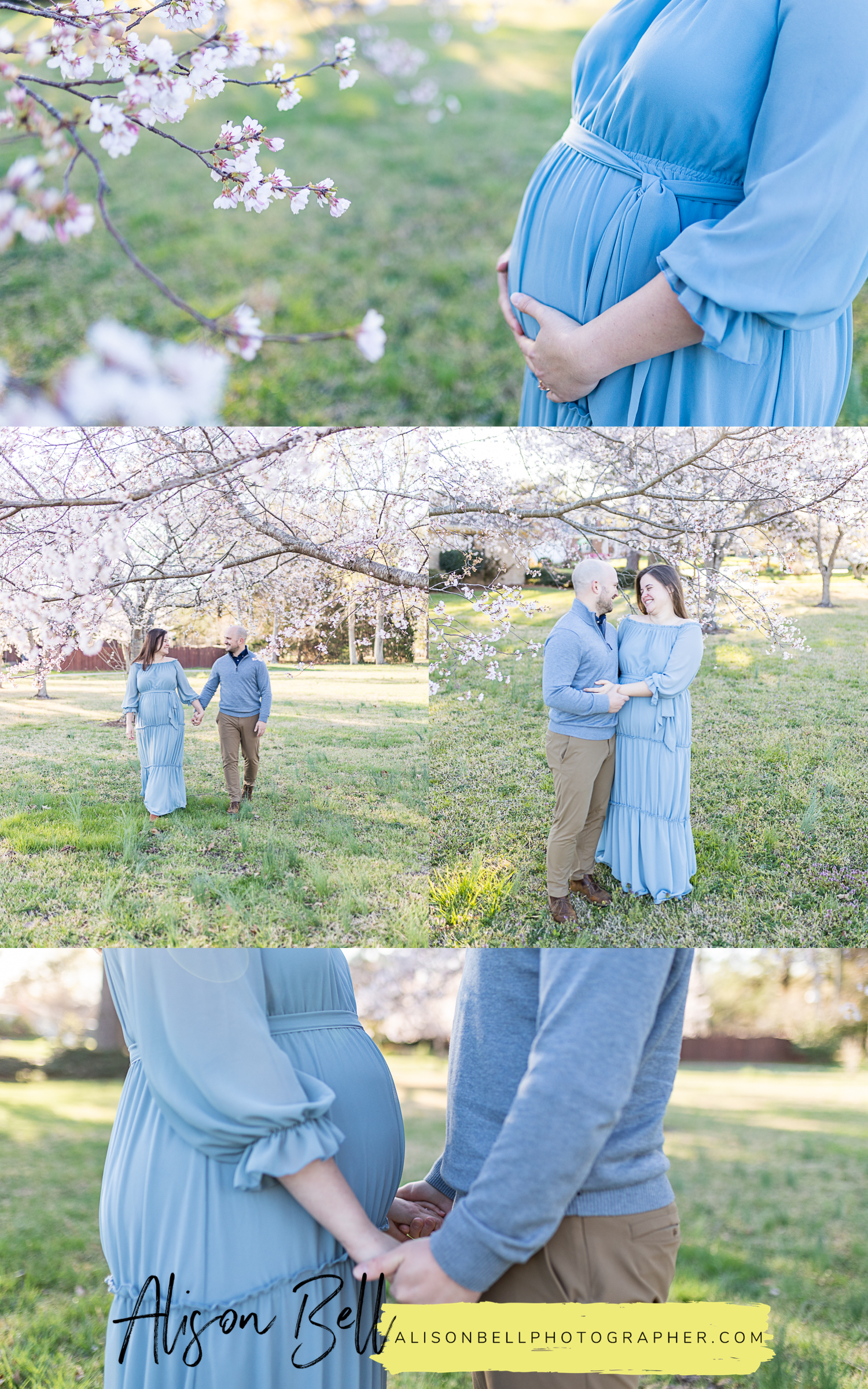 Spring maternity photo session with cherry blossoms in virginia beach, va by alisonbell photographer