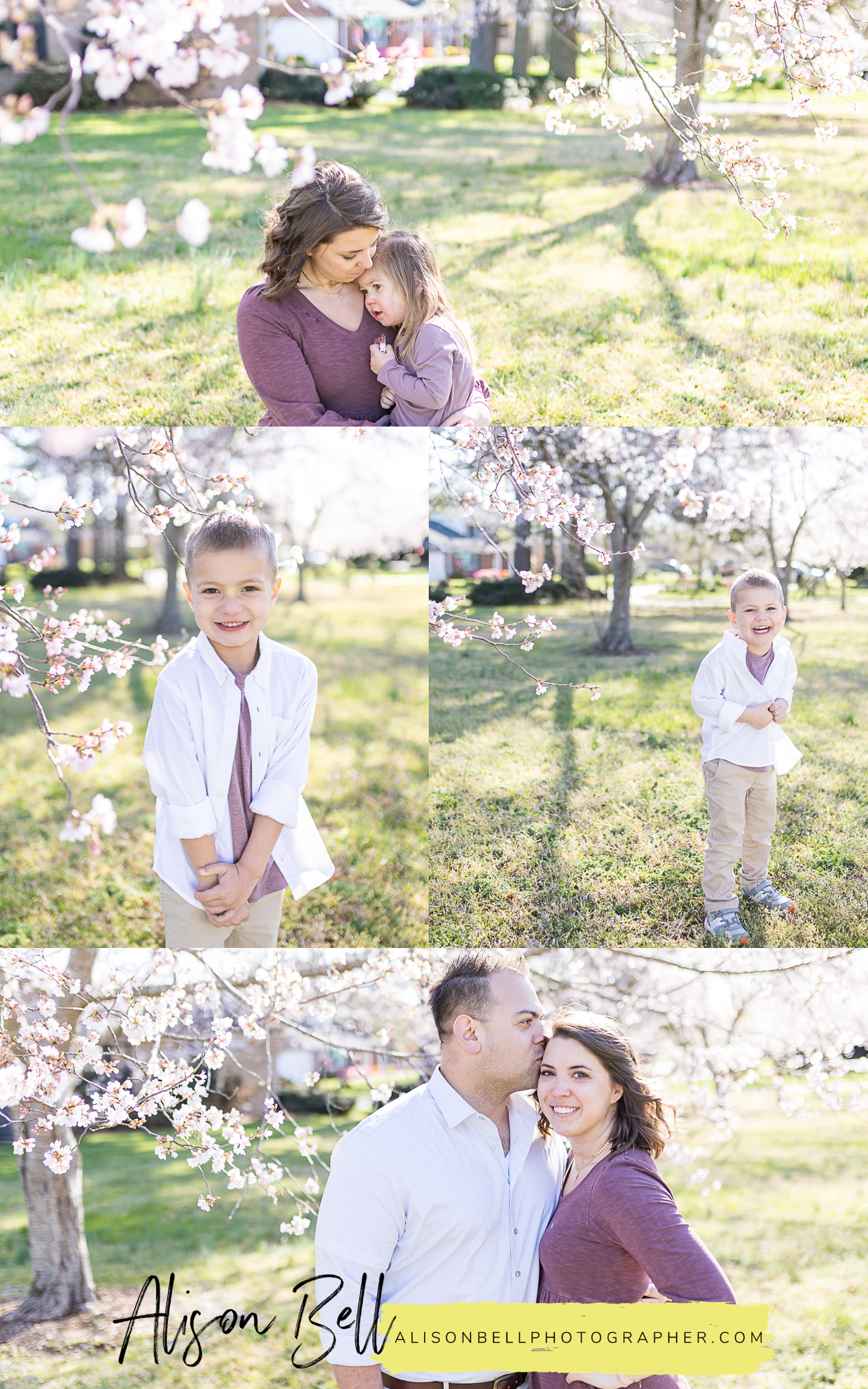 Spring cherry blossom family photos in a city park virginia beach, va by alison bell photographer