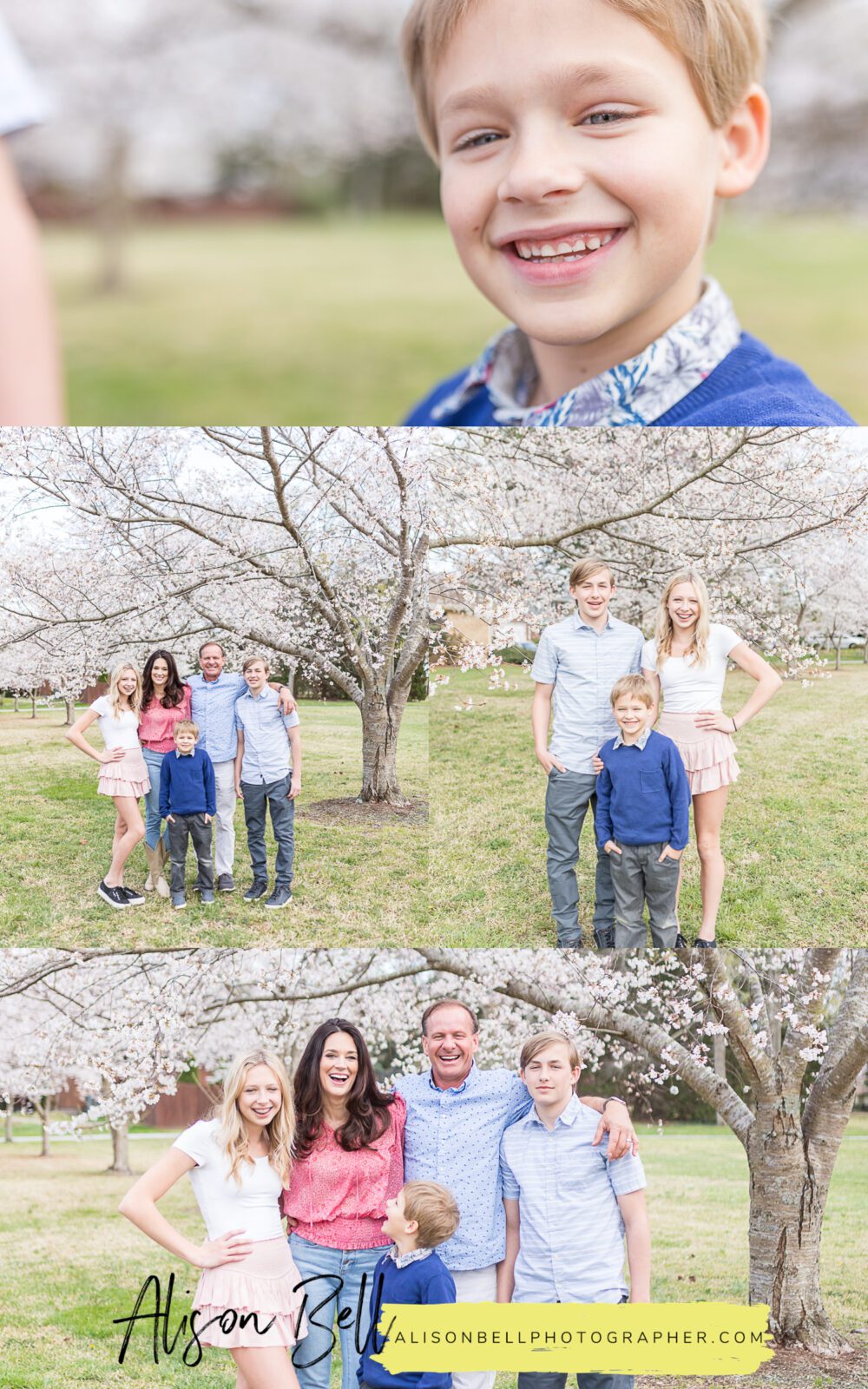 What to Wear for Cherry Blossom Photos - Alison Bell