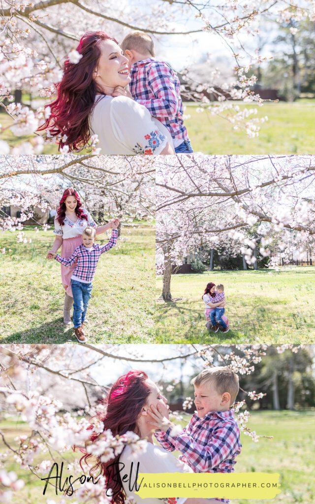 Spring cherry blossom mommy and me photos in a city park virginia beach, va by alison bell photographer