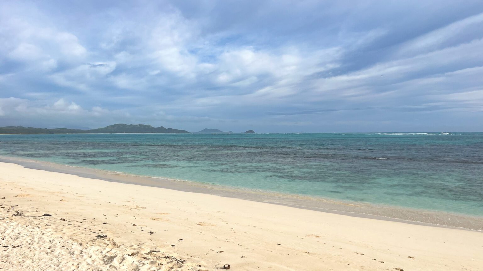 5 Best Snorkeling in Oahu for Beginners & Keiki (Kids) Alison Bell