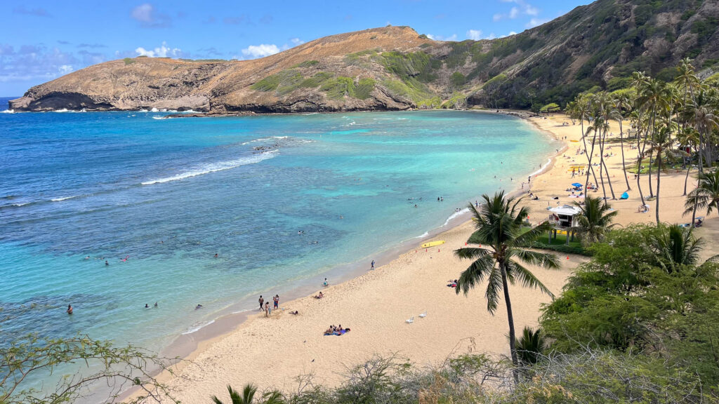 best snorkeling on oahu