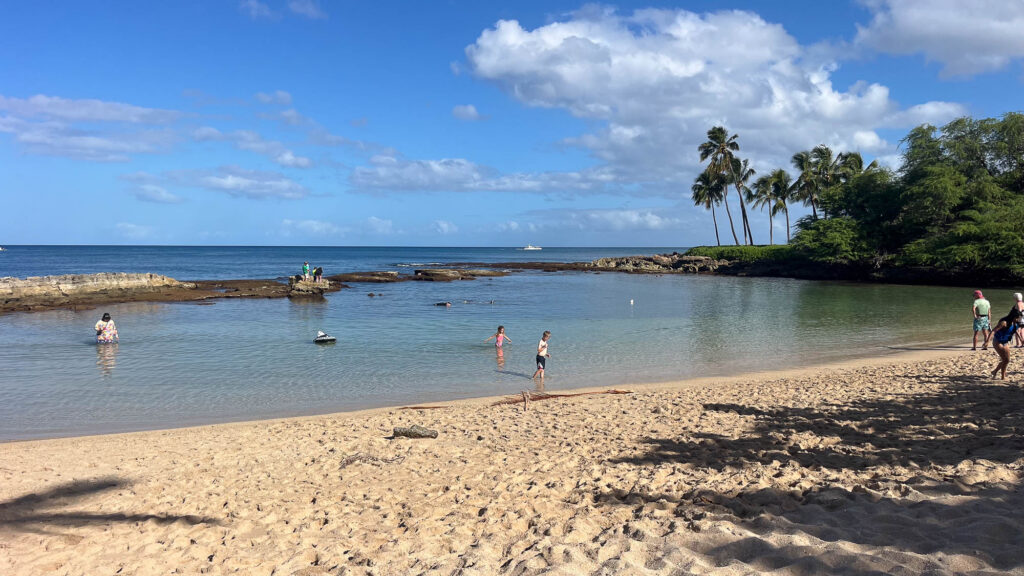 best snorkeling on oahu paradise cove this one is great for very small children, especially at low tide when turtles sometimes get trapped in the lagoon. 