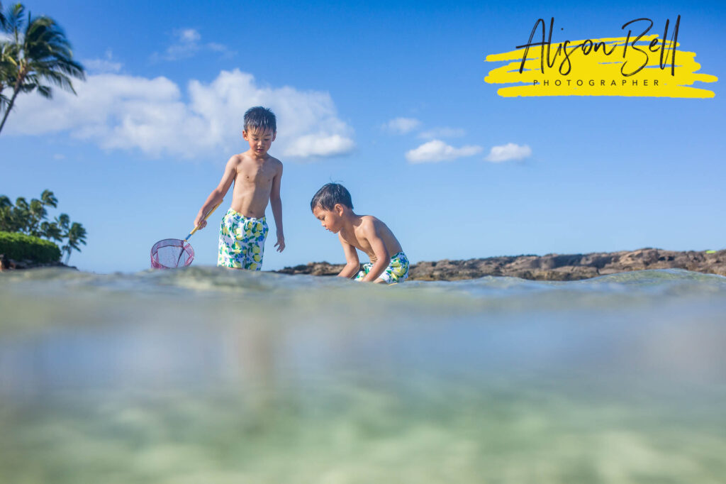 two boys playing in water at paradise cove beach, ko olina, oahu by alison bell, photographer