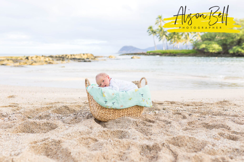 baby in a basket at paradise cove beach, ko olina, oahu