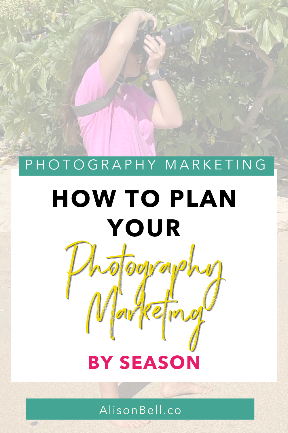 photography business marketing plan
