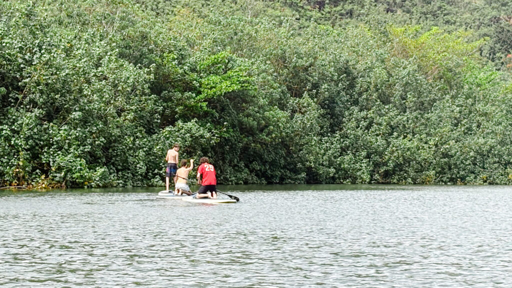 Family paddleboarding on a river surrounded by lush greenery in Kauaʻi, Hawaii. Family photos by Alison Bell, photographer in Hawaii.