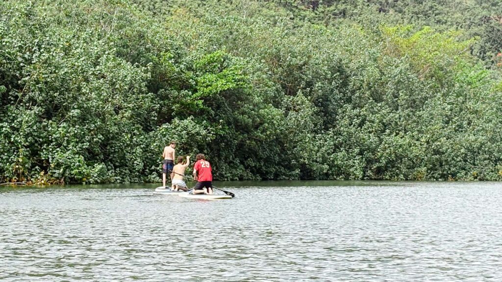 Family paddle-boarding on a river surrounded by lush greenery in Kauaʻi, Hawaii. Photography by Alison Bell, photographer in Hawaii.