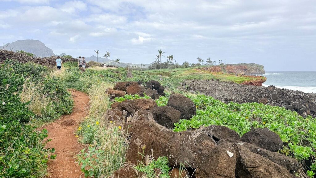 Family walking along the Mahaulepu coastal trail with ocean views in Kauaʻi, Hawaii. Photography by Alison Bell, photographer in Hawaii.