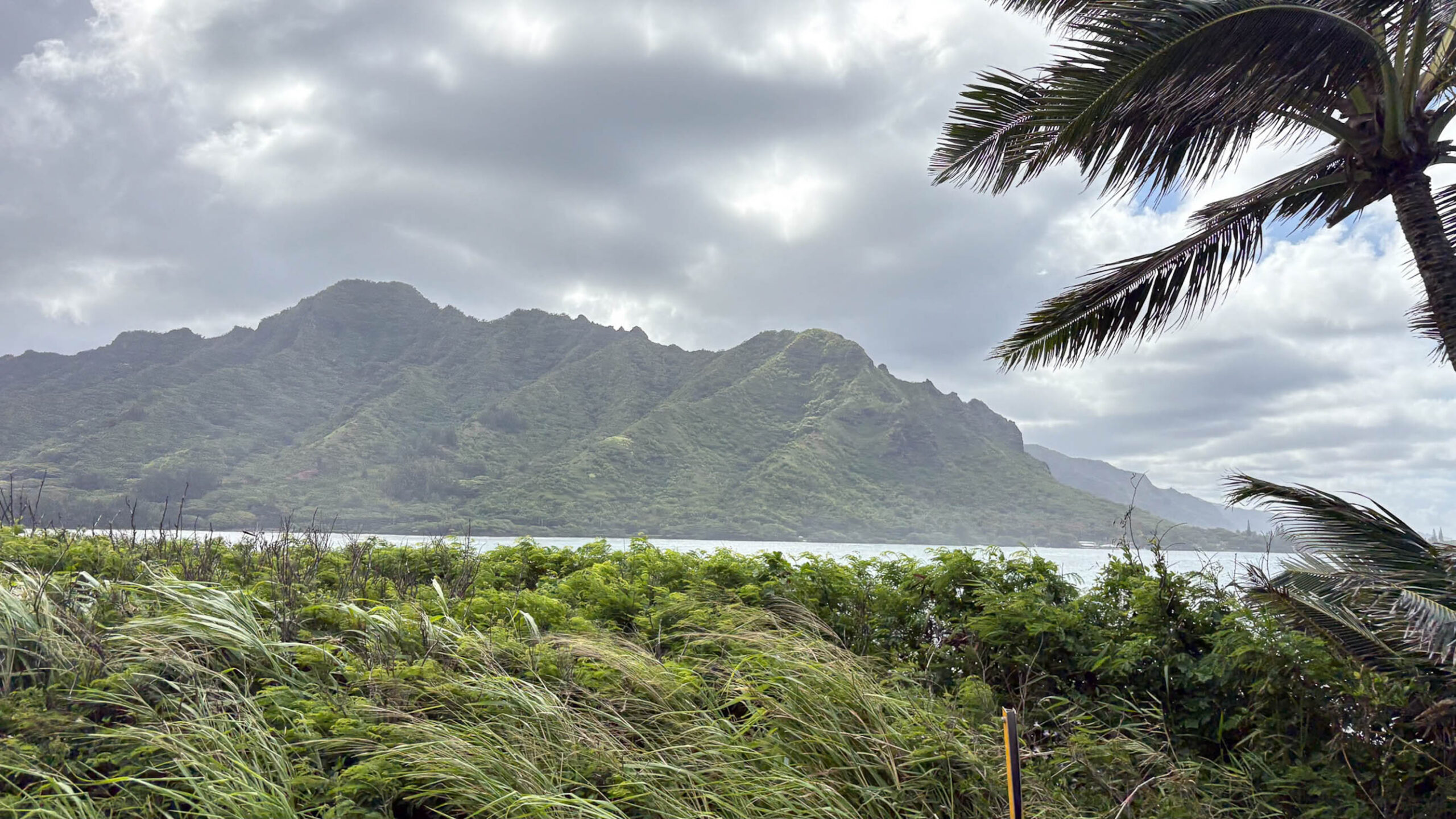 where to eat oahu local foodie tour eastside or windward oahu. View of kahana bay and ko olau mountains
